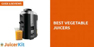 Best Vegetable Juicers