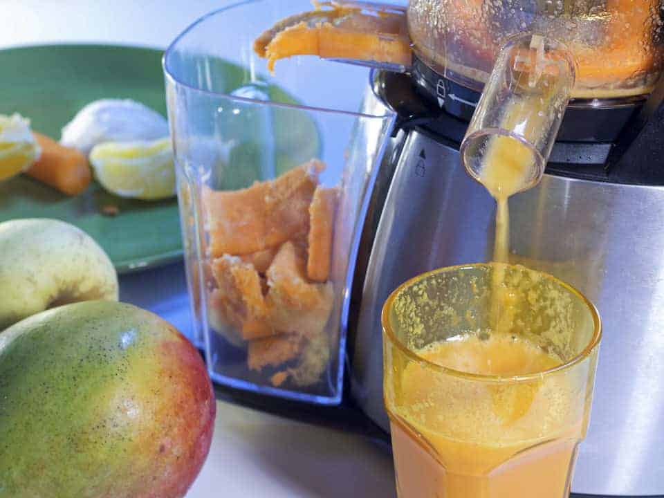 What to do With Pulp From Juicer Lots of Tips For You and Your Animals.