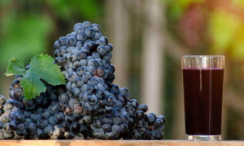 Making Grape Juice with A Juicer – Recipe and Tips