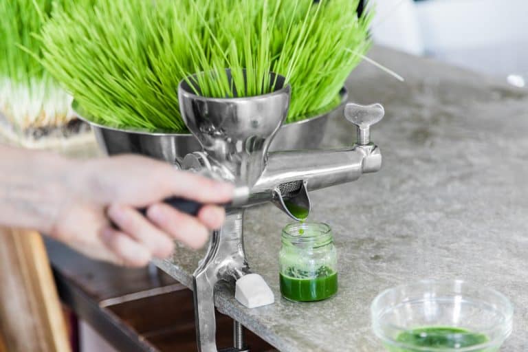 best wheatgrass juicer