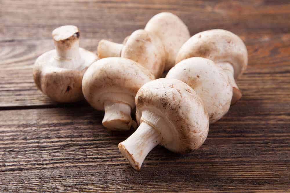 Mushroom Juice Recipe You Should Try