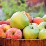 best apples for juicing