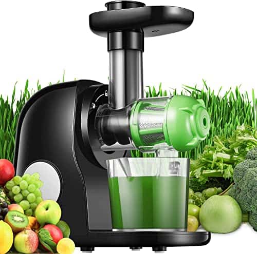 ffgg Juicer Machines, Slow Masticating Juicer Easy to Clean, Cold Press Juicer Extractor with Quiet Motor & Reverse Function for Vegetable and Fruit, Classic Black