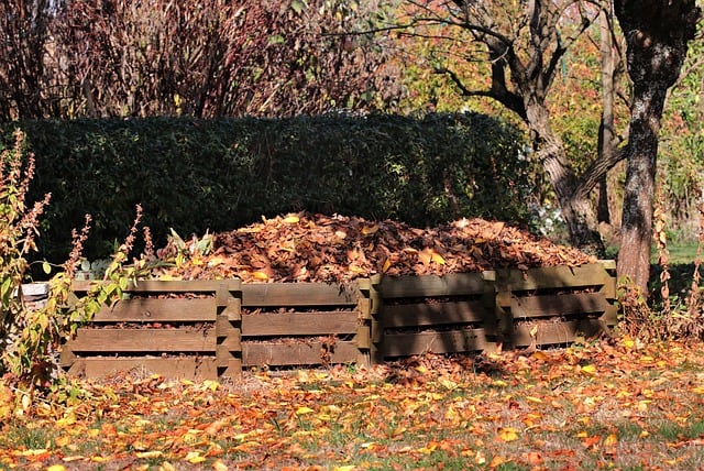 compost pile in garden