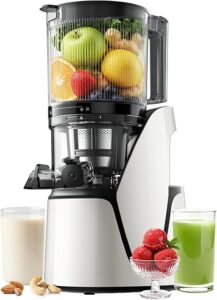 EanOruus 3-in-1 Cold-Press Juicer