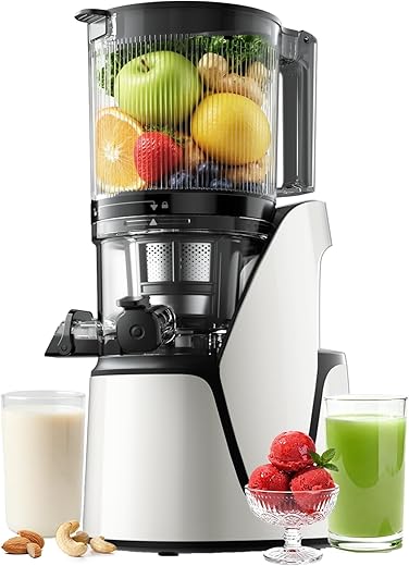 EanOruus 3-in-1 Cold-Press Juicer