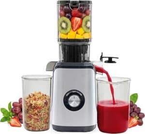 HealSmart Cold Press Juicer — MAX Juice, Minimal Noise